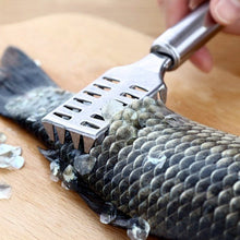 Stainless Steel Fish Scale Remover Scraper – Sawtooth Kitchen Tool