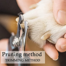 Pet Nail Clipper and Nail File Grooming Kit for Dogs and Cats (Mix Color / 2 Pc)